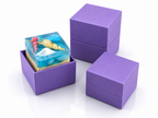 Atlantic Ocean Petit Soap